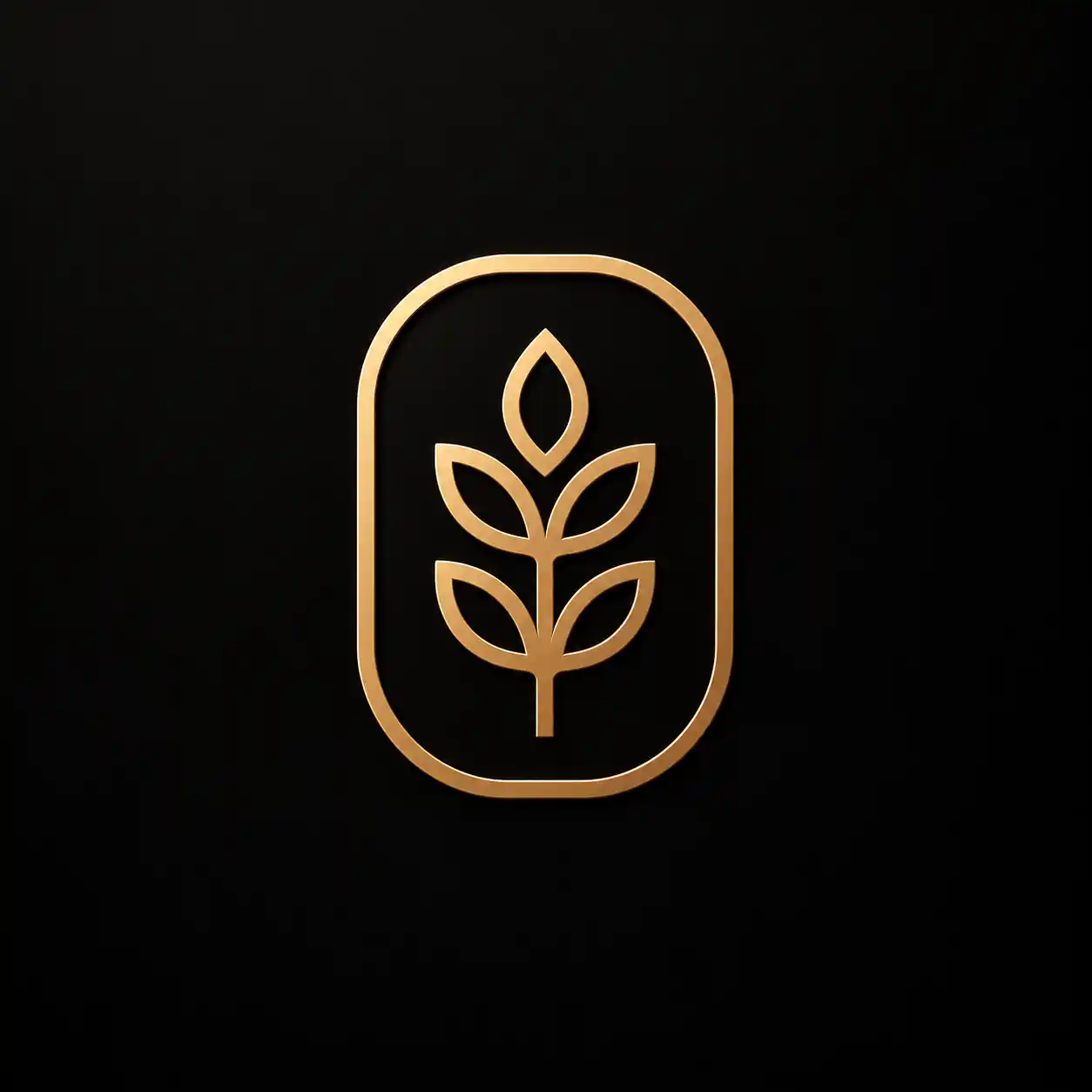 Brand Auren Coffee